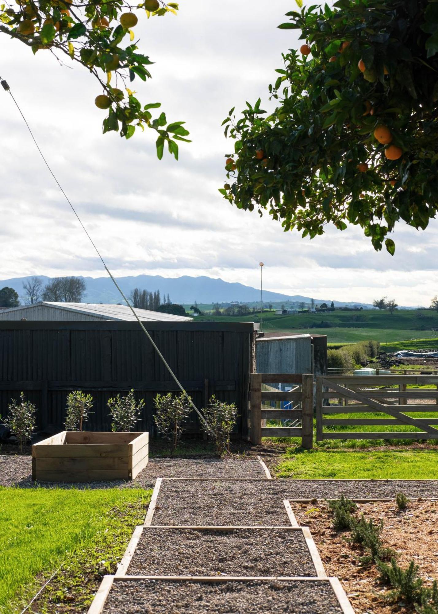 Willow View Cottage - Beautiful Farm Views Close To Waitomo Otorohanga Eksteriør bilde